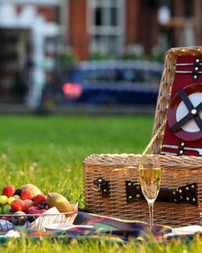 Milestone_Hotel_picnic_bu